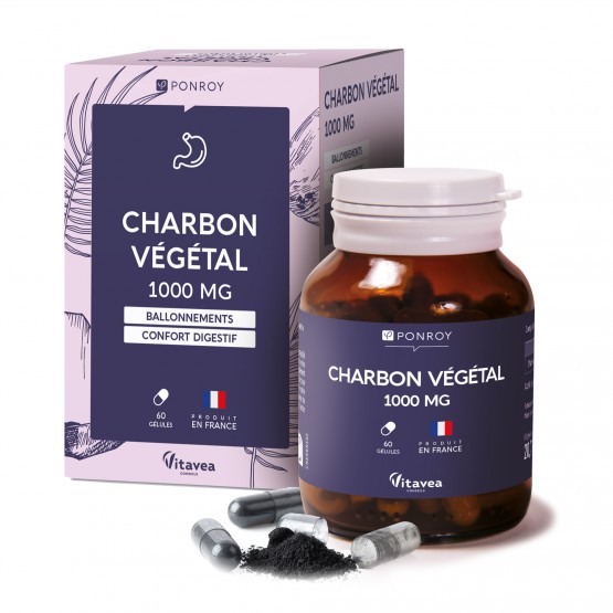 Charbon végétal 1000 mg